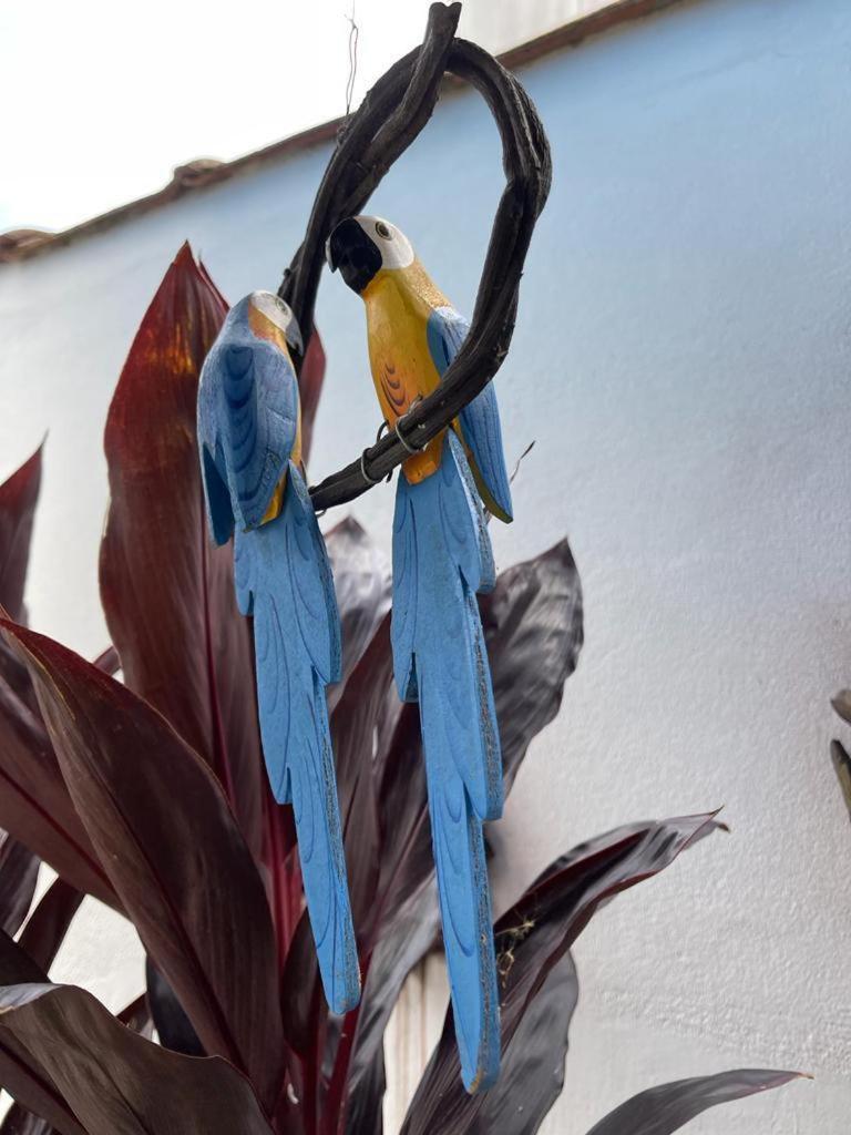 Chales Camburi Sao Sebastiao  Zewnętrze zdjęcie